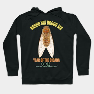 Cicada Lover Brood XIX Brood XIII Year Of The Cicada 2024 Hoodie